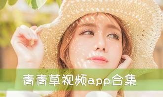 青青草免费国产,国产影视的崛起与魅力展现